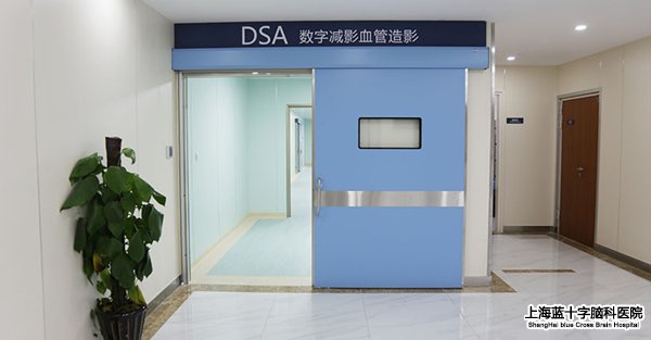 DSAѪܽ\